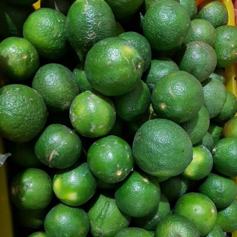Chanh tươi Đà Lạt 500g