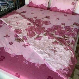 Séc 5 món ga gối chun ko trần