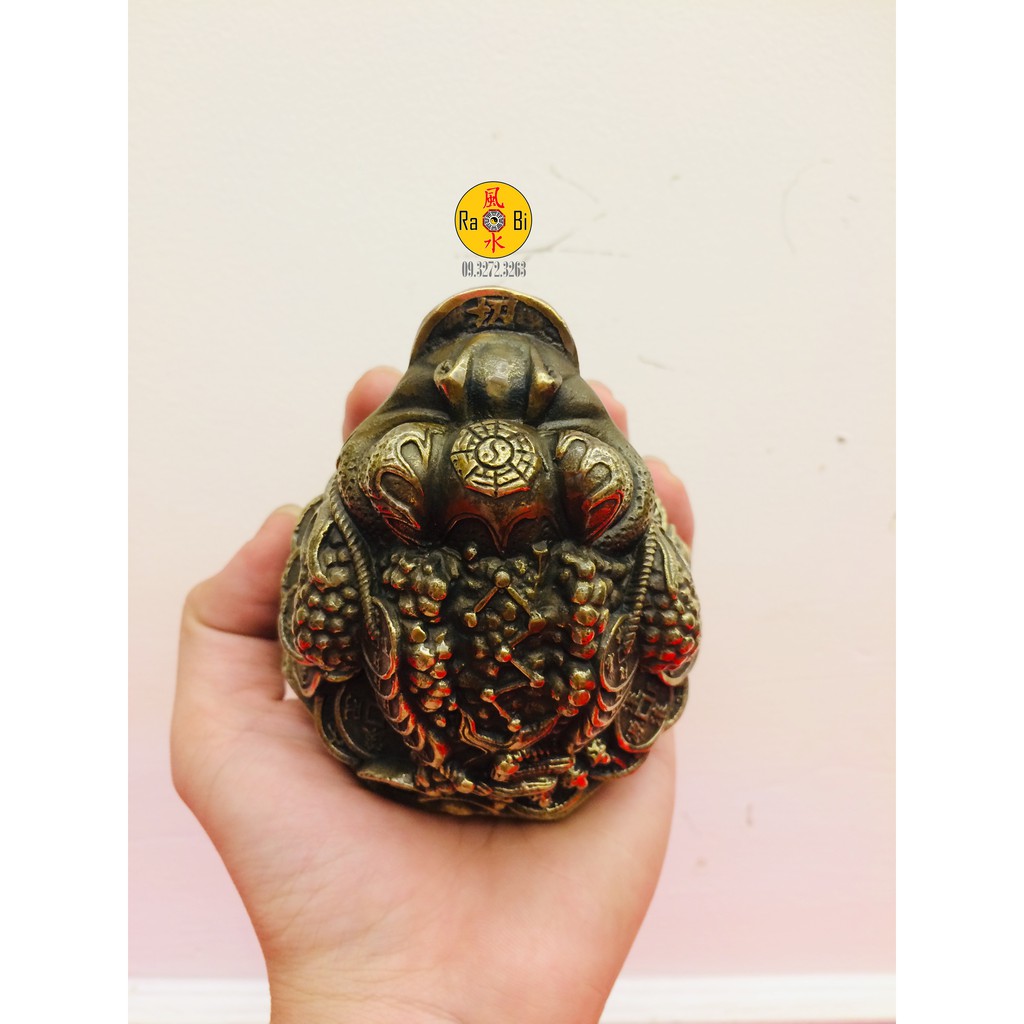 Thiềm Thừ Bát Quái - Cóc Tài Lộc - Tượng Đồng Phong Thủy | BigBuy360 - bigbuy360.vn