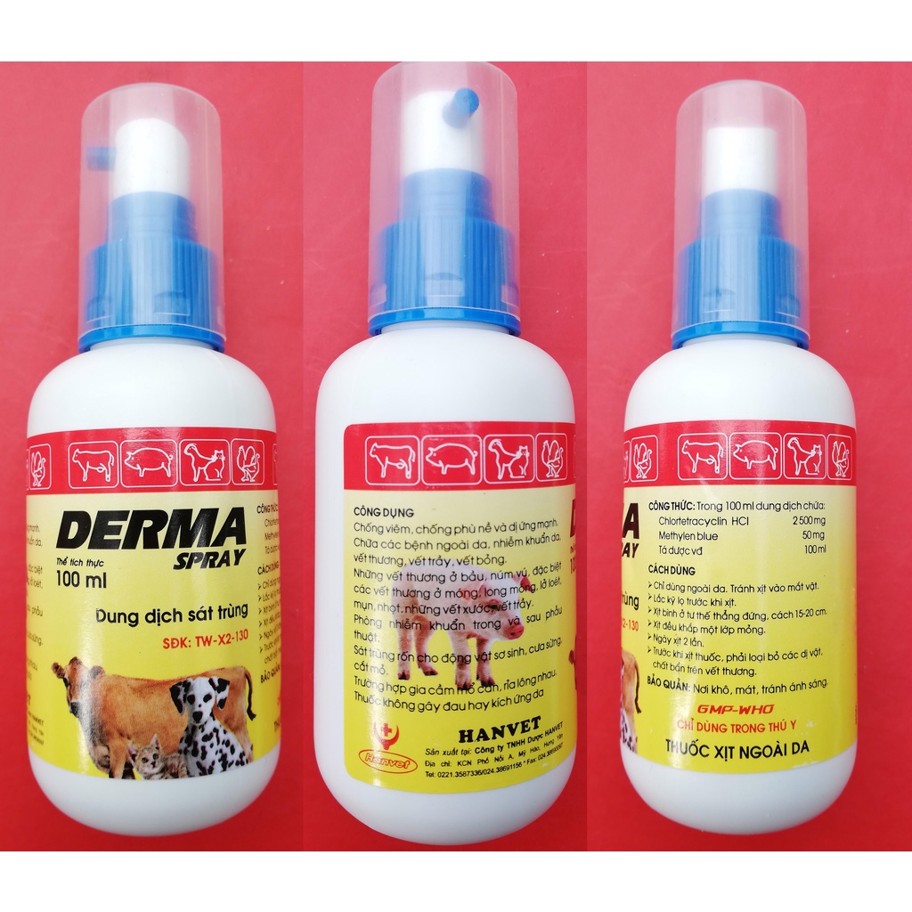 1 lọ CHAI XIT TRỊ GHẺ VIÊM DA LỞ LOÉT DERMA Spray