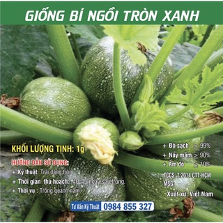 Hạt giống Bí Ngồi Tròn