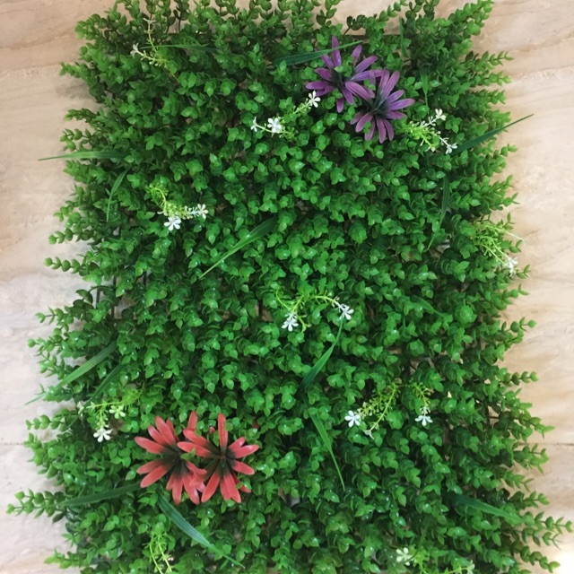 Thảm cỏ nhân tạo chụp ảnh