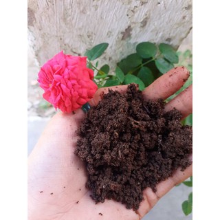 Phân Trùn Quế Hữu Cơ (Gói 3KG) Cải Tạo Đất, Cung Cấp Dinh Dưỡng Cho Cây,Rau