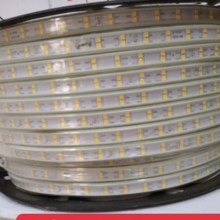 Đèn led dây đôi 2835 hắt trần- set 10m kèm giắc