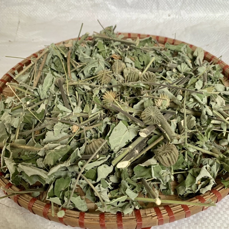 Cây Cối Xay Khô Tốt Cho Người Đau Xương Khớp 500g