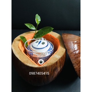 bình đựng ấm trà trái dừa