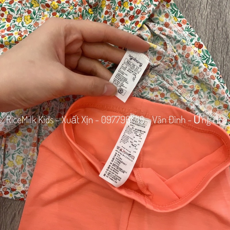 Bộ thun cotton cho bé gái cánh tiên hoa lá xuất Hàn