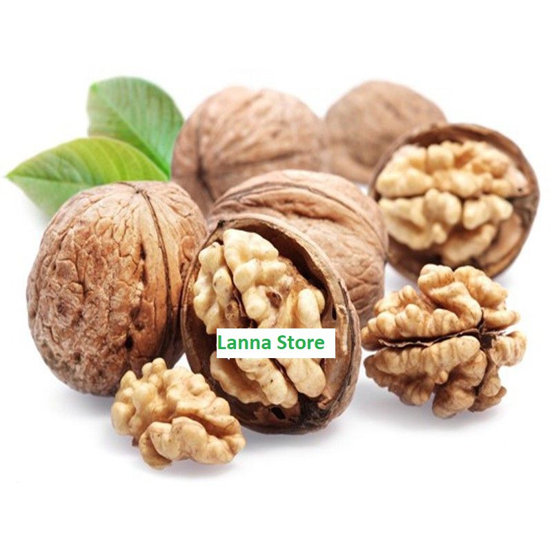 [HÀNG CHUẨN LOẠI NGON] Nhân Hạt Óc Chó Mourad's túi 453g - Úc