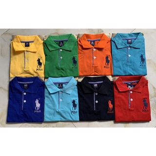 Áo thun polo tay ngắn cho bé combo 50k/1 cái từ 10-32kg
