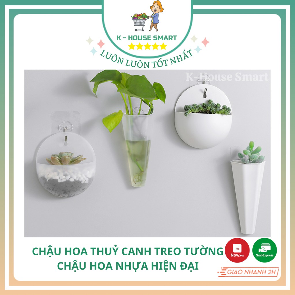 Chậu Hoa Thuỷ Canh Treo Tường Chậu Cây Cảnh Trang Trí Nhà Cửa