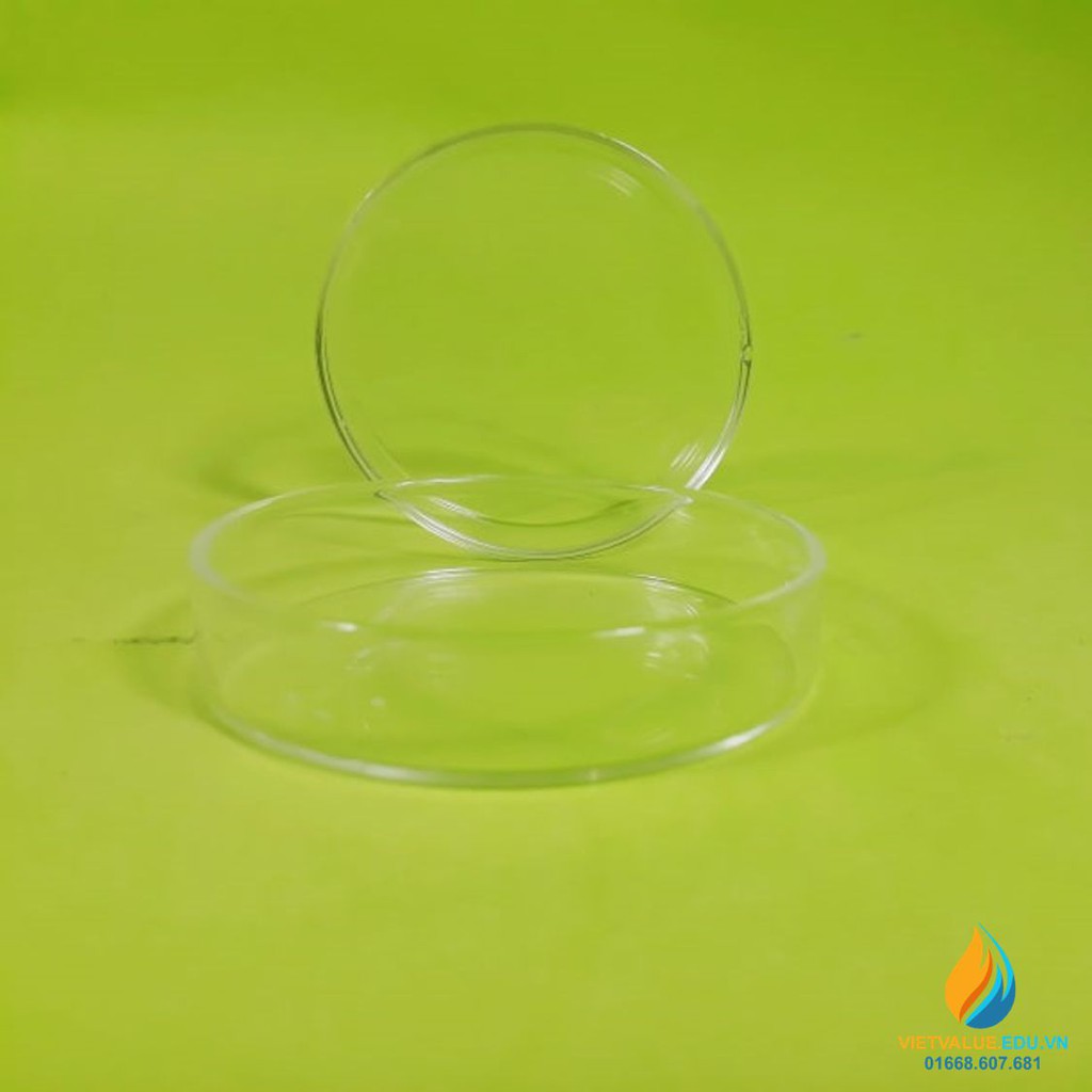 Đĩa petri nhựa (Petri Dish) đường kính 90mm, 75mm, 60mm