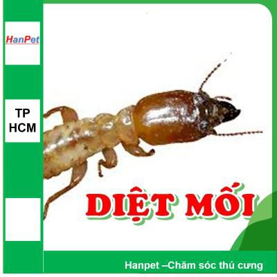 SIFA -Thuốc diệt mối dạng xịt tiện dụng chai lớn 500gr diệt mối và mọt gỗ an toàn và hiệu quả