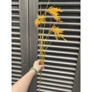 {Giá xưởng} Combo 10 Cành lúa vàng 90cm 3 bông hàng cao cấp