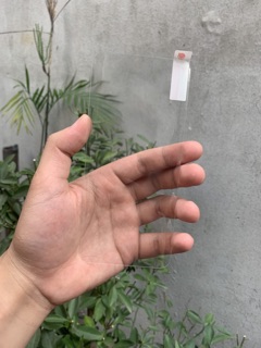 Cường lực keo uv Oneplus 7/7T pro