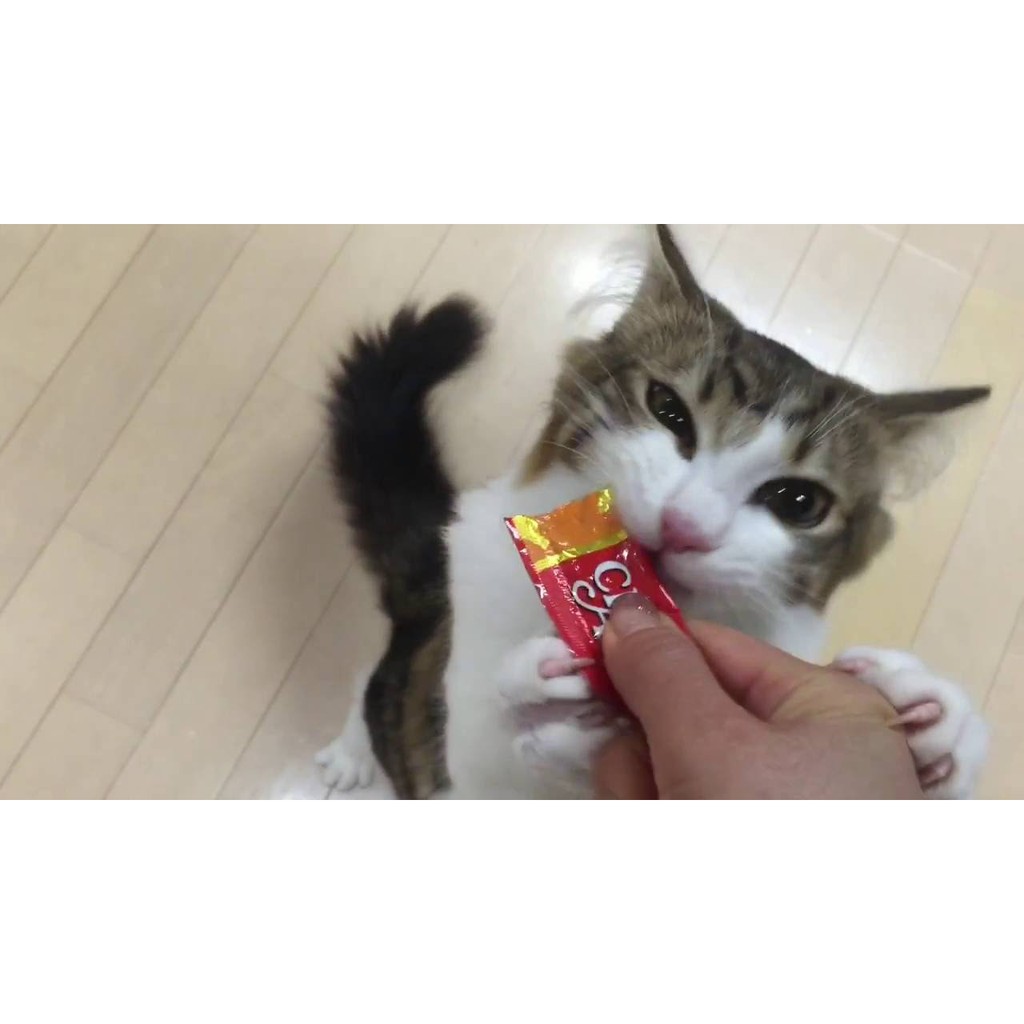 Súp thưởng ống Ciao Churu cho mèo - Maly petshop (ngẫu nhiên)