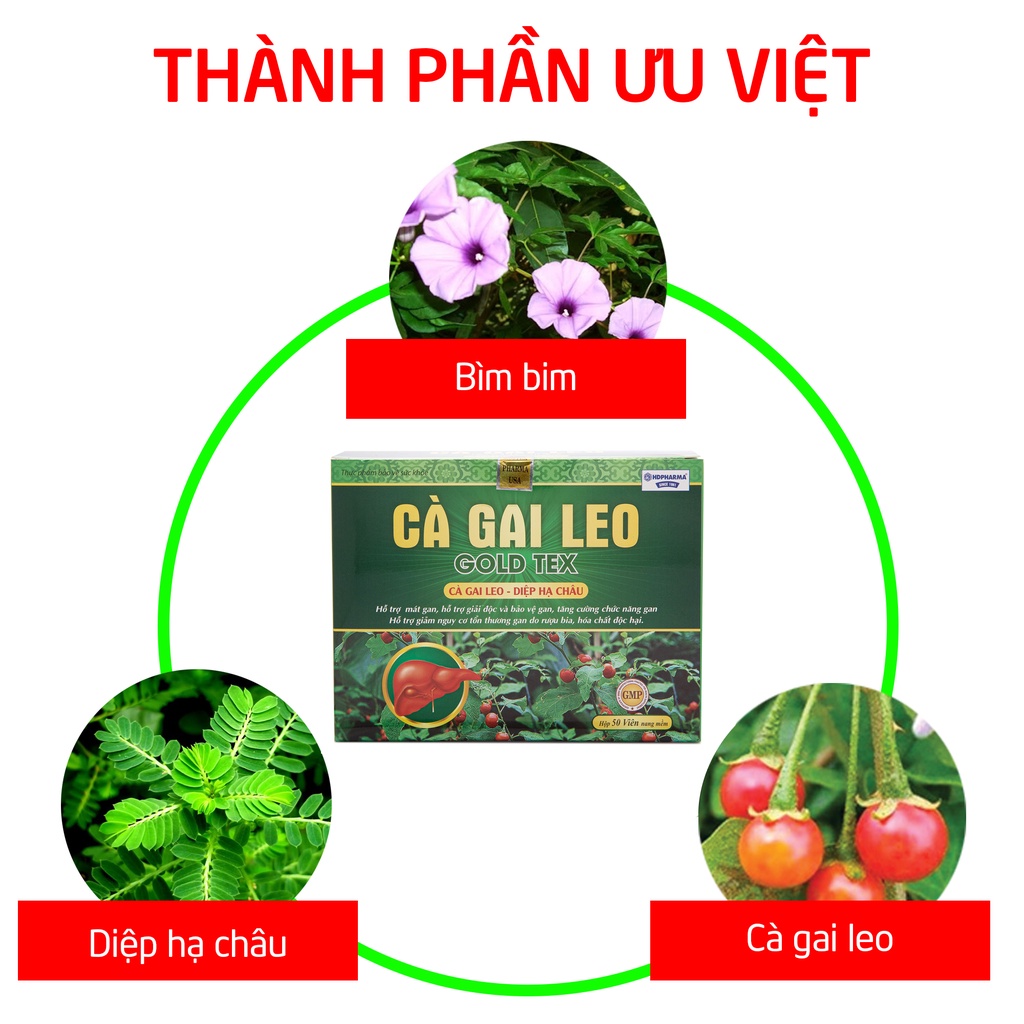 Viên uống bổ gan Cà Gai Leo GOLDTEX bảo vệ gan , làm mát , giải độc , hạ men gan - HỘP 50 viên ( Vỉ )