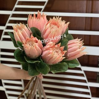 HOA HOÀNG ĐẾ CAO CẤP CAO 68CM- HOA LỤA
