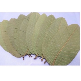 500 g Trà lá ổi khô hàng xanh mới thơm ngon Thảo dược sạch VN