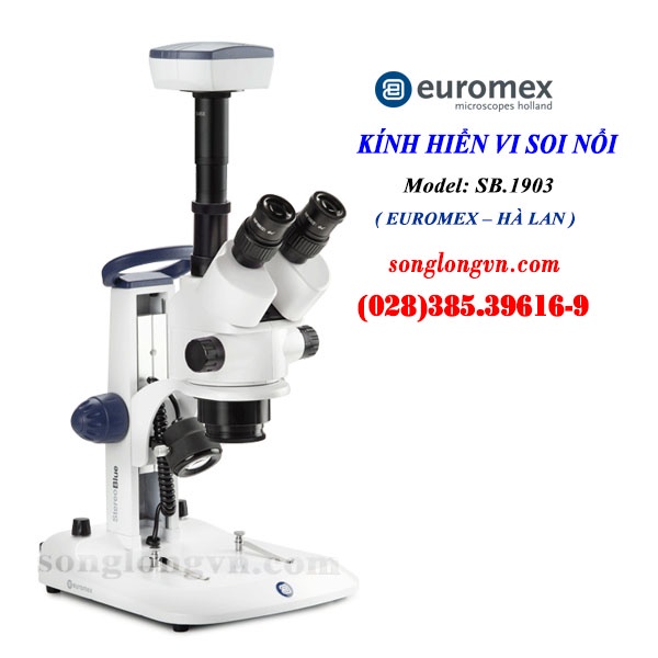 Kính hiển vi soi nổi 3 mắt SB.1903 Euromex Hà Lan