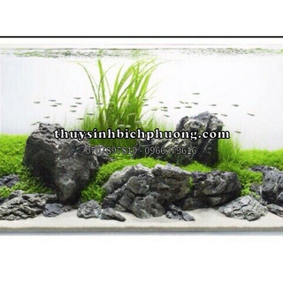 ĐÁ KẸP KEM SETUP HỒ THUỶ SINH ( 1KG ) - VÂN ĐÁ SIÊU ĐẸP