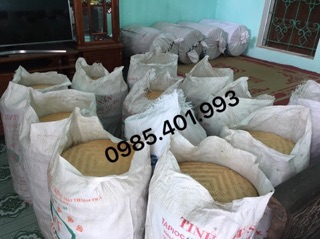 Compo Mẹt tre