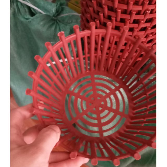 Chậu trồng lan 20cm SIÊU hot
