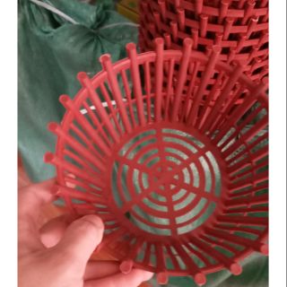 Chậu trồng lan 20cm siêu hot