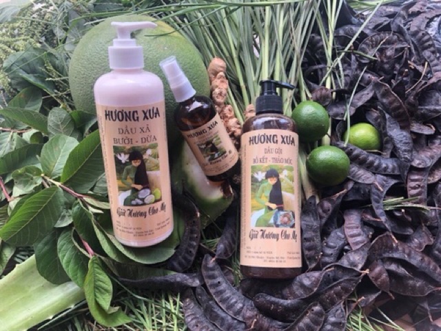 Dầu gội bồ kết, thảo dược Hương Xưa giảm rụng tóc, gàu và ngứa da đầu | BigBuy360 - bigbuy360.vn