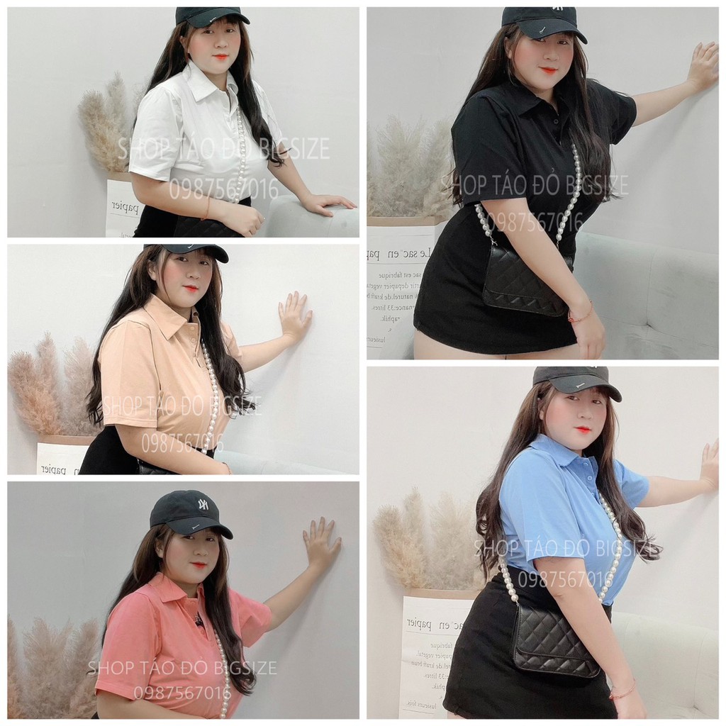 (TÁO ĐỎ BIGSIZE 55-90KG) ÁO THUN NỮ POLO CROPTOP SIÊU XINH ĐỦ MÀU DỄ PHỐI  ( ẢNH THẬT SHOP CHỤP 100%) 🥰🥰🥰