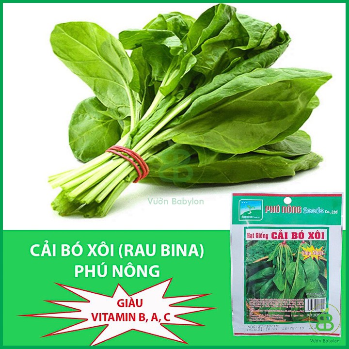 20GR Hạt Giống Cải Bó Xôi F1 Giàu Dinh Dưỡng