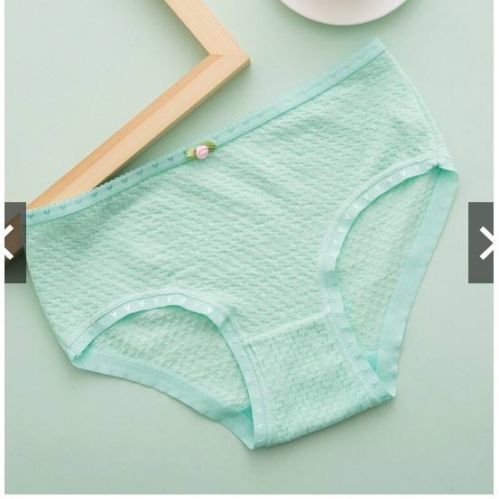 [quần lót cotton]10 quần lót cotton sợi bông nữ, quần lót điều hoà, quần lót ren,quần thông hơn, quần su đúc | BigBuy360 - bigbuy360.vn