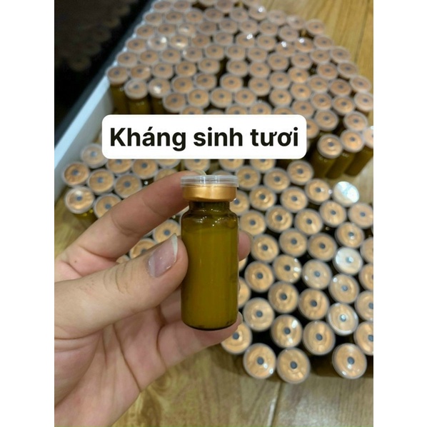 Búa điện di nóng lạnh, búa tam giác