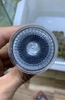 Bóng đèn sưởi uva uvb 3.0 cho rùa
