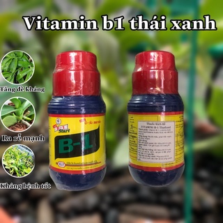 VITAMIN B1 XANH THÁI LAN – KÍCH RỄ, CHỐNG SỐC CHO CÂY- 500ml