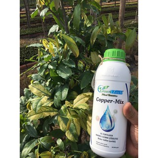 Copper Mix ( trị nấm bệnh)