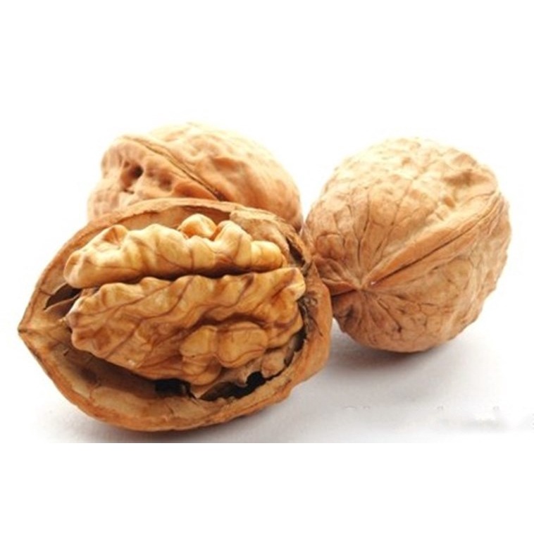 0.5kg Quả Óc Chó Nhập Khẩu