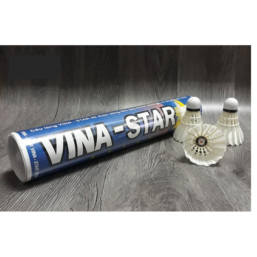 Hộp Quả Cầu Lông Vina Star 12 Quả Thi Đấu Cao Cấp (Hàng Việt Nam Chất Lượng Cao)