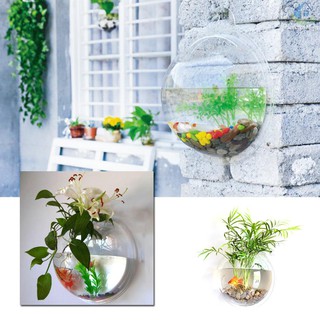Bình Hoa Treo Tường Trang Trí Bể Cá Bằng Acrylic