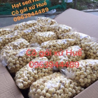 1kg Hạt sen tươi Huế - đặc sản Huế