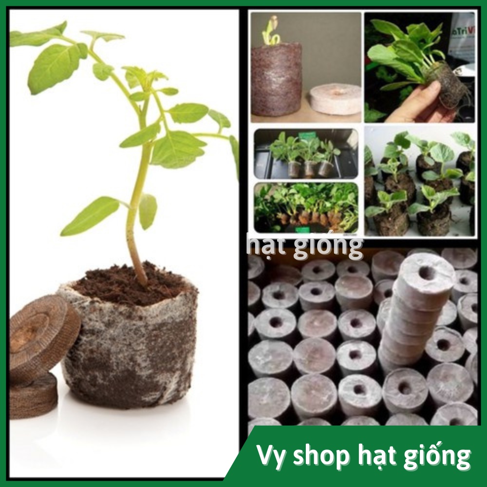 Set 10 viên nén xơ dừa ươm hạt giống