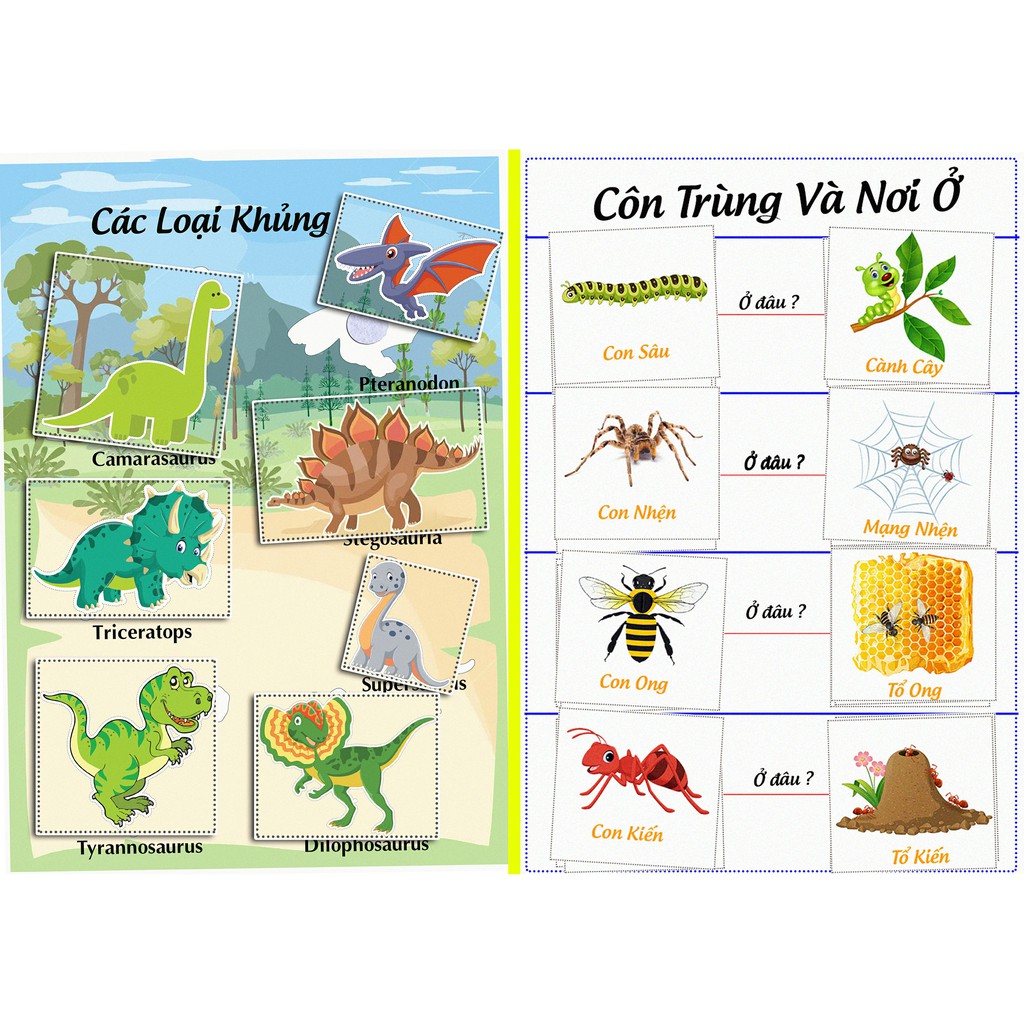 Bộ động vật học - Học liệu dính dán montessori - Matching Book [Monsi Edu]