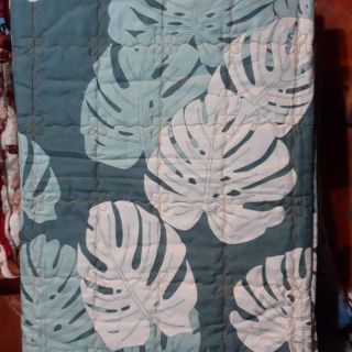 Mền Hè Cotton Cao Cấp