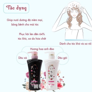 Cặp Gội - Xả IChikami Nhật
