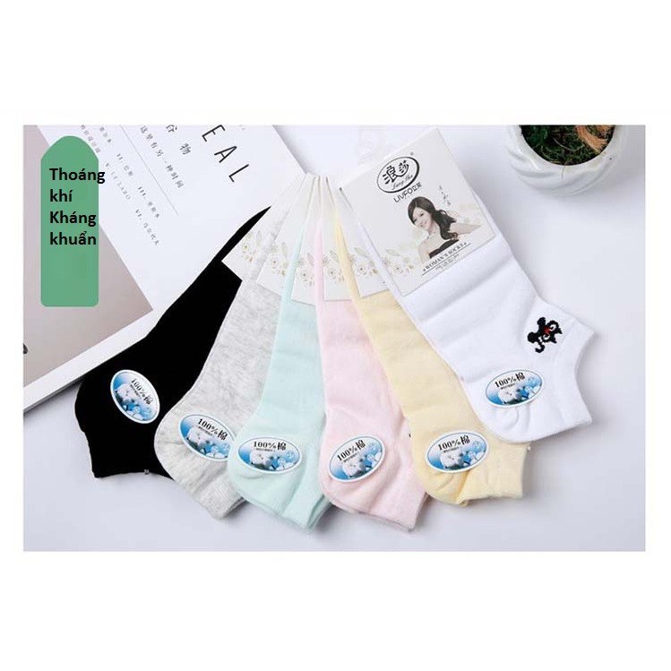 Combo 2 đôi tất nữ cotton kháng khuẩn - 100k