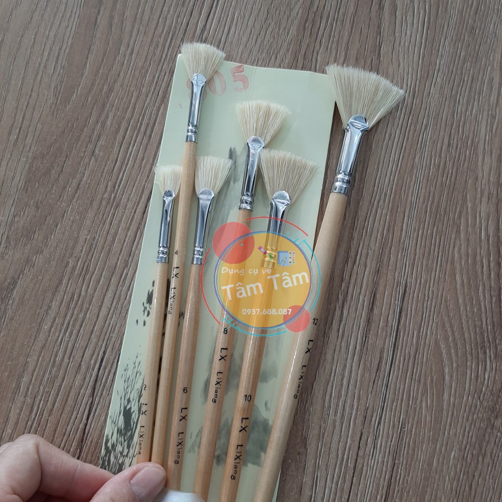 [ TÂM TÂM ]-Bộ cọ quạt 5 cây cán gỗ lông quạt cứng LX Lixiang 805-