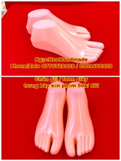 Form trưng bày giày