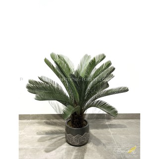 Cây Vạn Tuế Giả _ Cây Vạn Tuế Nhân Tạo Nhập Khẩu Trang Trí Cao Cấp