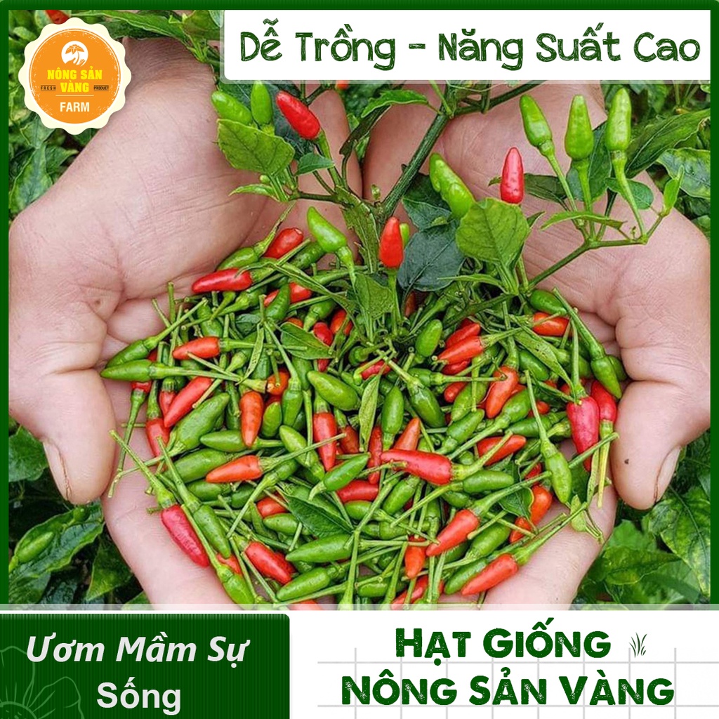 Hạt giống Ớt Xiêm ( Gói 30 Hạt ) - Nông Sản Vàng