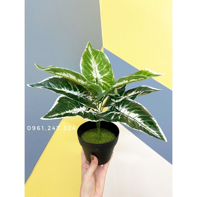 cây lá môn 30cm - cây giả