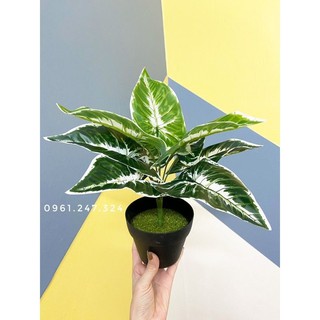 Cây lá môn 30cm - cây giả